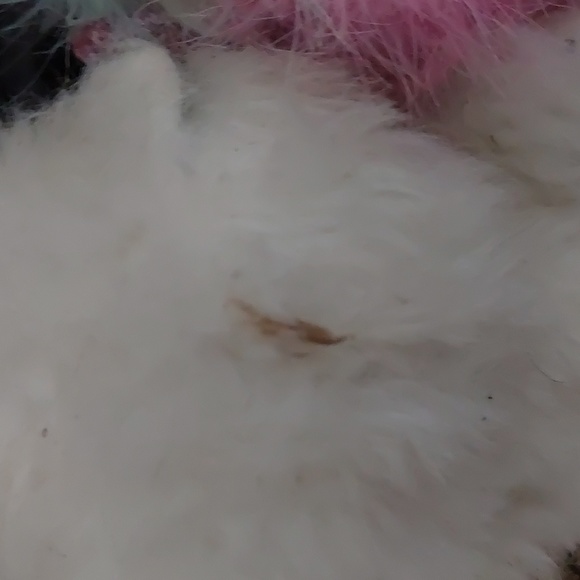 3 Beanie Boos, 2 Owls and a Platypus, "Olive, Austin and Petunia, VGUC - Picture 3 of 6